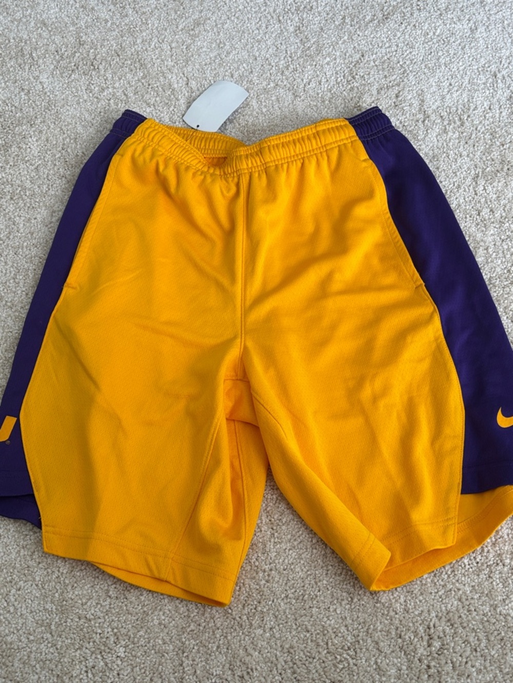 Nike Gold and Purple Basketball Shorts